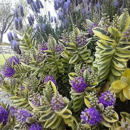 Valiana Séjour à la ferme