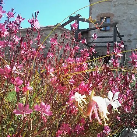 Farma Valiana Montegabbione