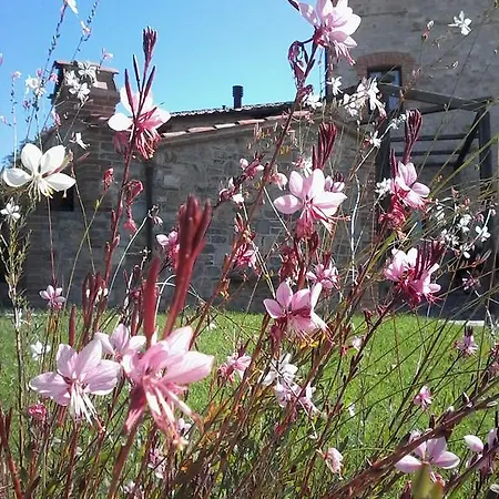 Farma Valiana