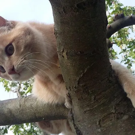 Valiana Séjour à la ferme *