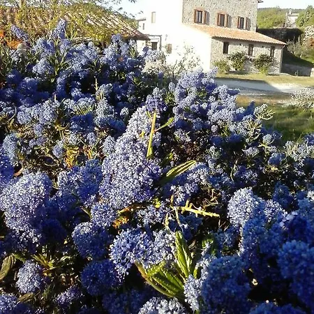 Farmház Valiana Montegabbione