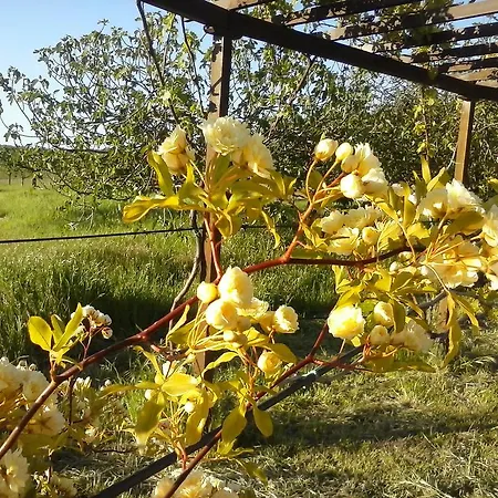 Farmház Valiana Montegabbione