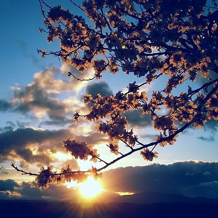 Séjour à la ferme Valiana Montegabbione