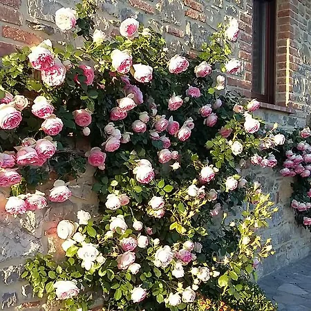 Valiana Alloggio per agriturismo Montegabbione