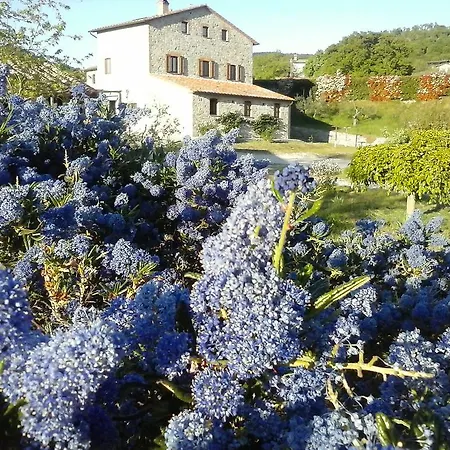 Valiana * Montegabbione