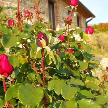 Séjour à la ferme Valiana *