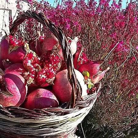 Farmház Valiana Montegabbione