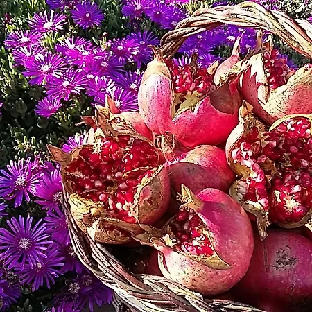 Valiana Séjour à la ferme Montegabbione