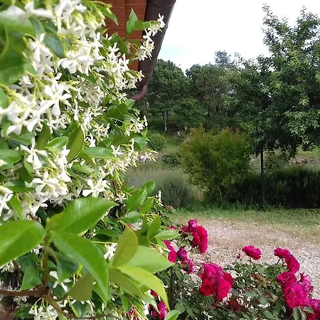 Valiana Montegabbione