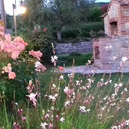 Valiana *
