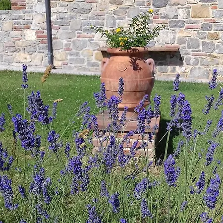 Farma Valiana Montegabbione
