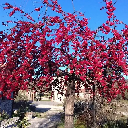 Valiana Alojamento de Turismo Rural Montegabbione