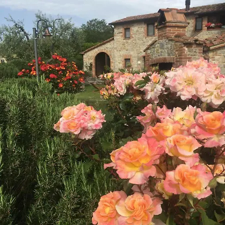 Valiana * Montegabbione