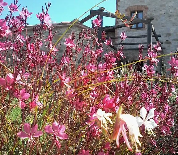 Alojamento de Turismo Rural Valiana Montegabbione