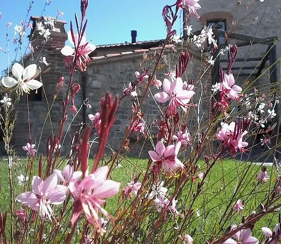 Alojamento de Turismo Rural Valiana