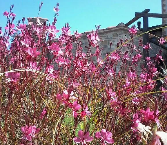 Valiana Alojamento de Turismo Rural