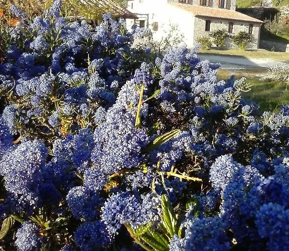 مزرعة للإقامة Valiana Montegabbione