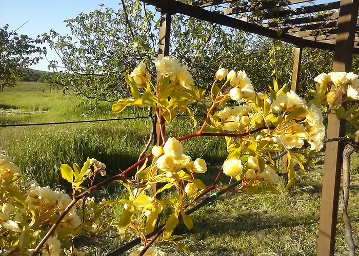 مزرعة للإقامة Valiana Montegabbione