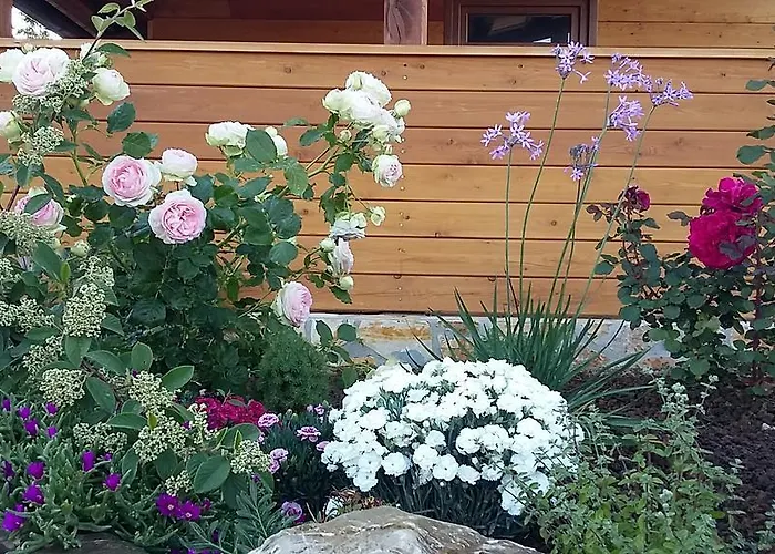 Alojamento de Turismo Rural Valiana *