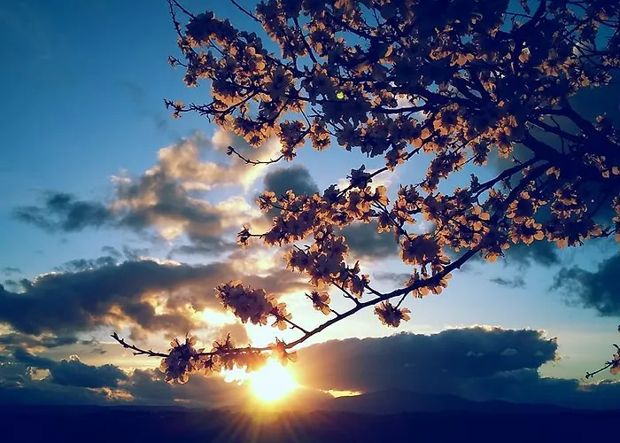 Alojamento de Turismo Rural Valiana Montegabbione