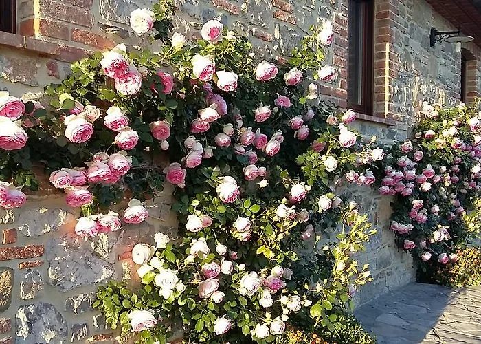 Valiana Alojamento de Turismo Rural Montegabbione