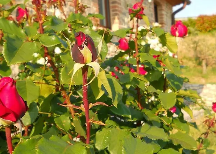 مزرعة للإقامة Valiana *