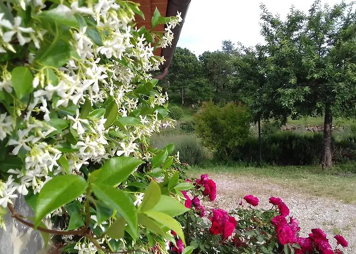 Valiana Montegabbione