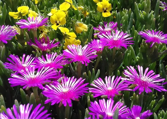 مزرعة للإقامة Valiana Montegabbione