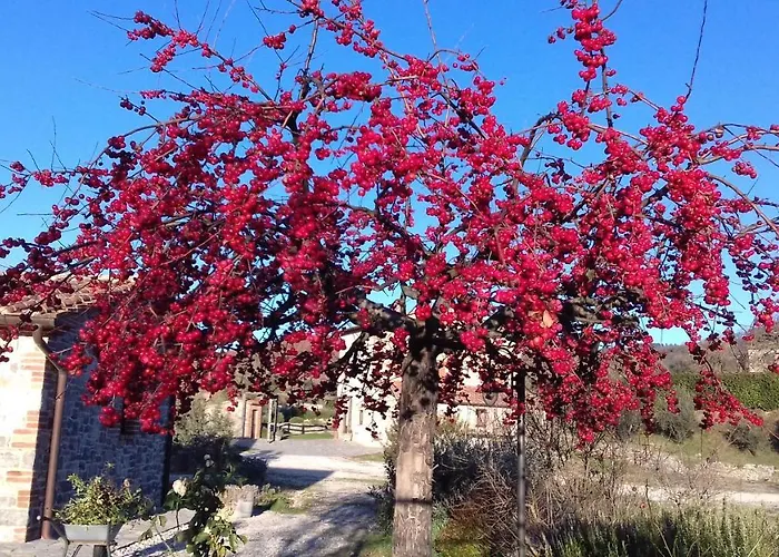 Valiana Alojamento de Turismo Rural Montegabbione