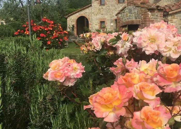 Valiana * Montegabbione